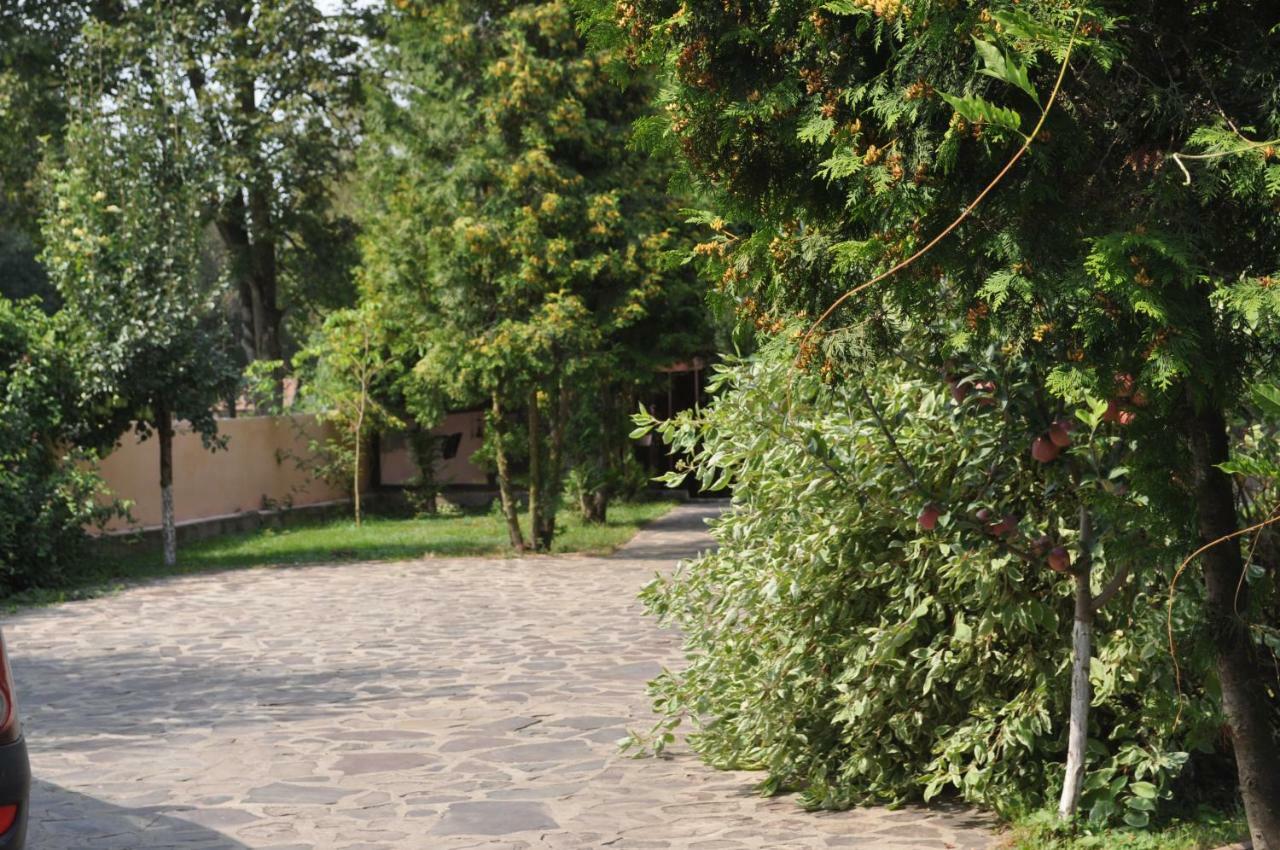 Casa Diu Διαμέρισμα Avrig Εξωτερικό φωτογραφία